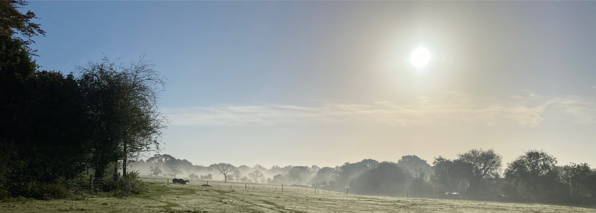 Early mist covers the fields